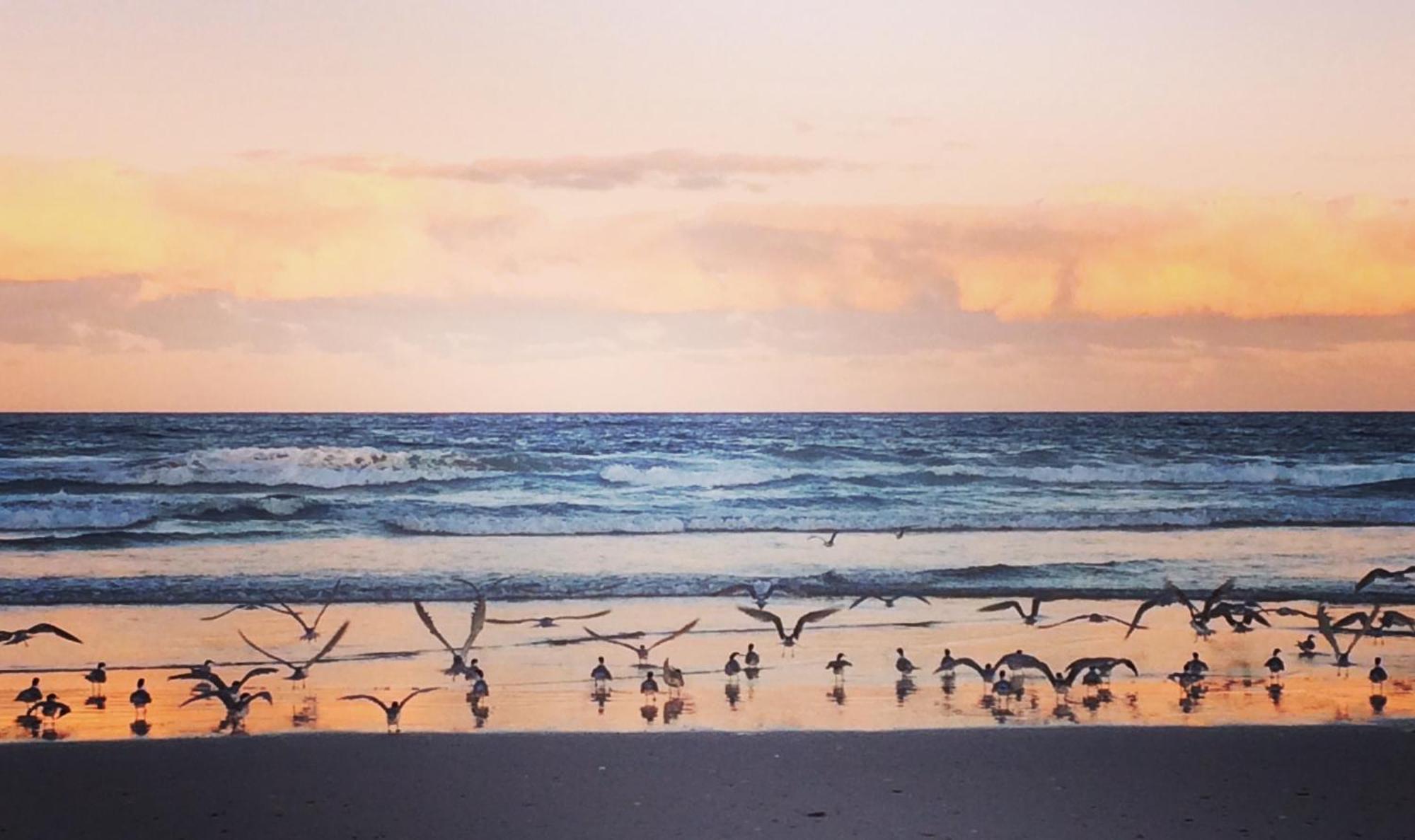 Beach Bliss سوفولك بارك المظهر الخارجي الصورة